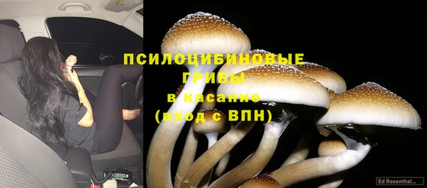 бошки Остров