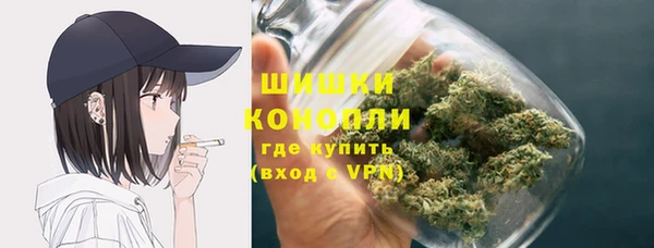 спайс Няндома