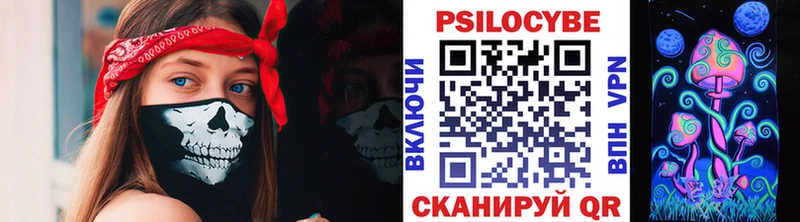 Псилоцибиновые грибы мицелий  Купить  Новосибирск 