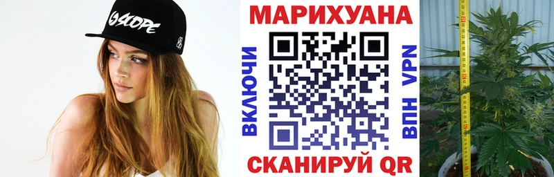 Купить где  Новосибирск  Марихуана THC 21% 